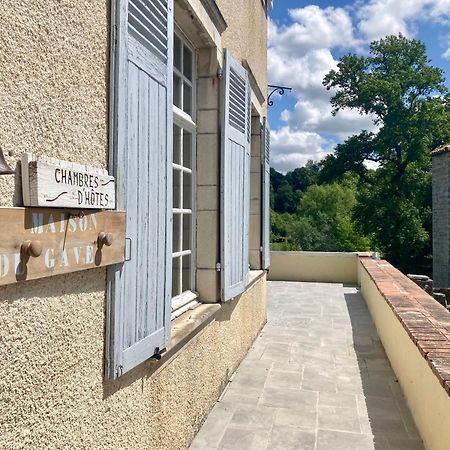 Maison Du Gave Sauveterre-de-Bearn エクステリア 写真